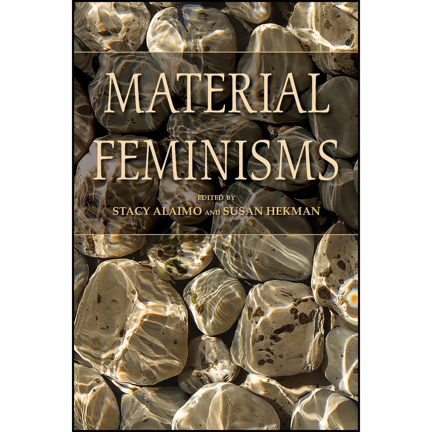 قیمت و خرید کتاب Material Feminisms اثر Stacy Alaimo And Susan Hekman ...