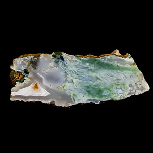 سنگ راف شجر مدل خزه ای کد M51