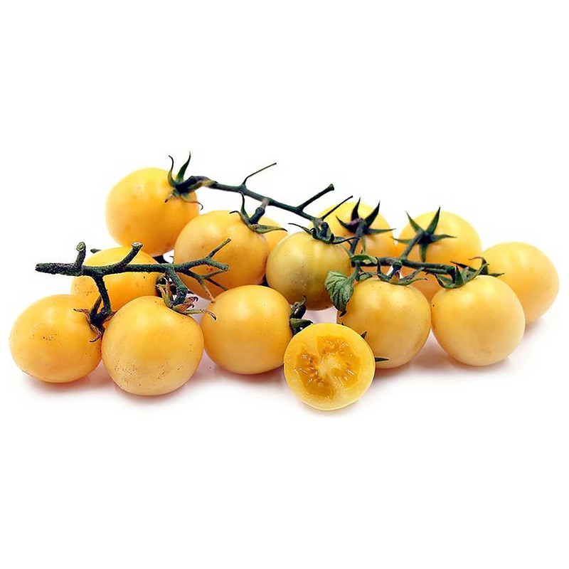 بذر گوجه گیلاسی رنگی میکس فصل سبز کد FSSEED-048