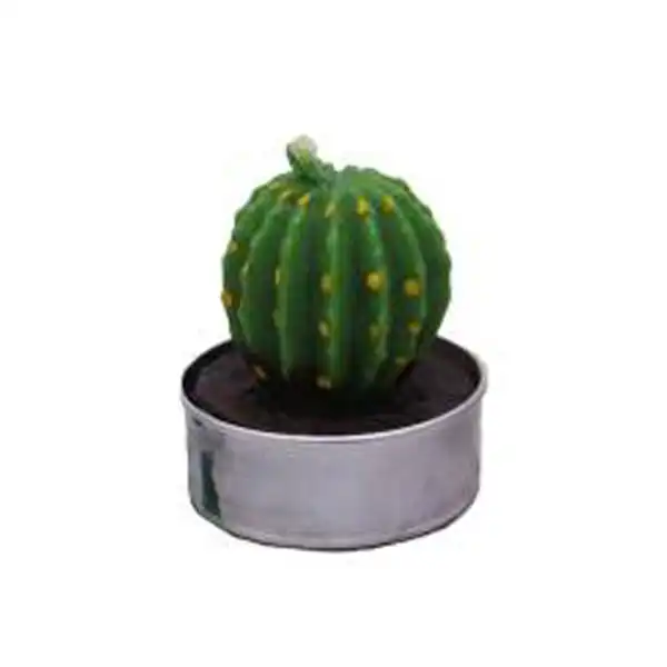 شمع وارمر مدل کاکتوس کد 100 مجموعه 3 عددی