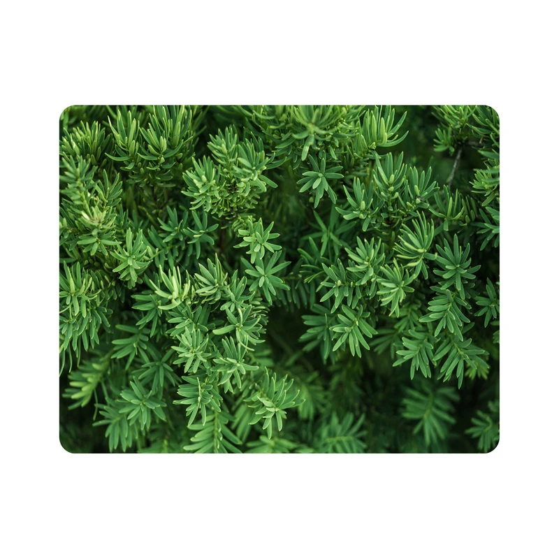 ماوس پد اطلس آبی طرح بوته سبز مدل T1792