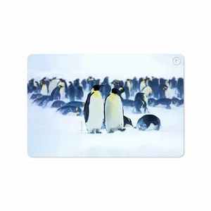 MAHOOT Penguin Cover Sticker for Huawei Matepad T10 2020 AGS-L09