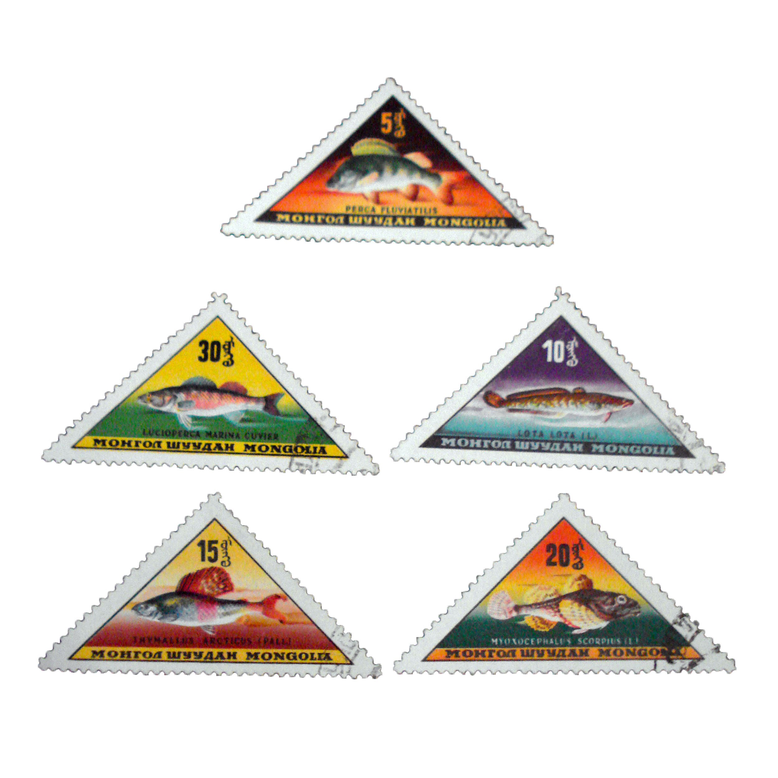 تمبر یادگاری مدل حیوانات کد bc-1530 مجموعه 5 عددی