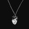 آنباکس گردنبند زنانه مدل قلب آناتومی 02 توسط شقایق ریگی در تاریخ ۰۶ مرداد ۱۴۰۲