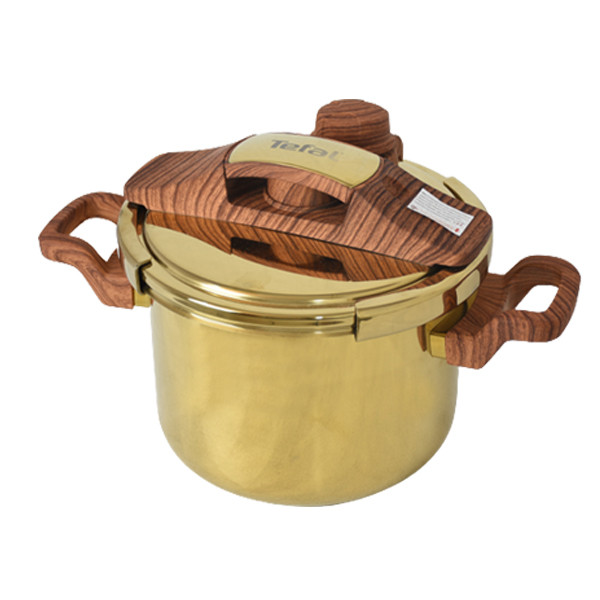 زودپز دوقلو تفال مدل Gold01