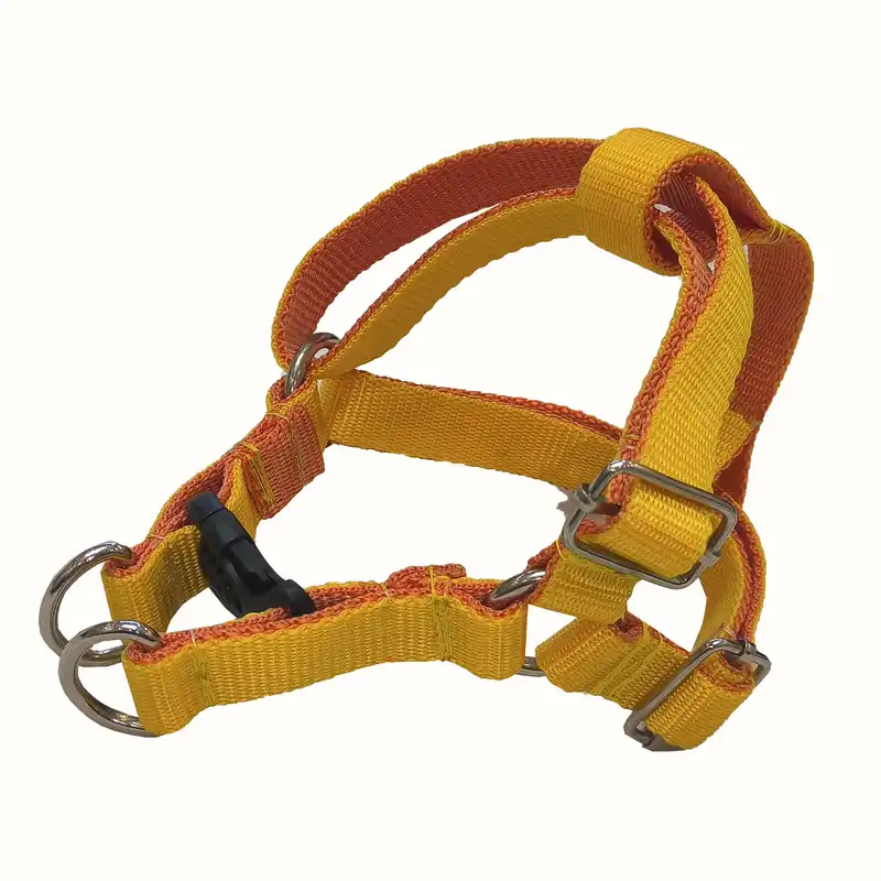 بند قلاده و قلاده کتفی سگ و گربه مدل برزنتی دولایه کد 3