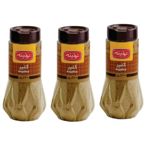 ادویه گلپر ترخینه -60 گرم بسته 3 عددی