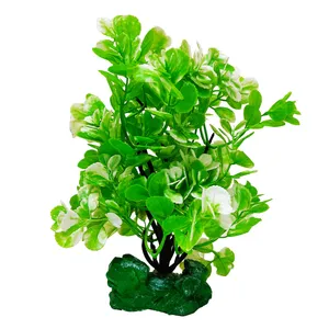 گیاه تزیینی آکواریوم کد R01