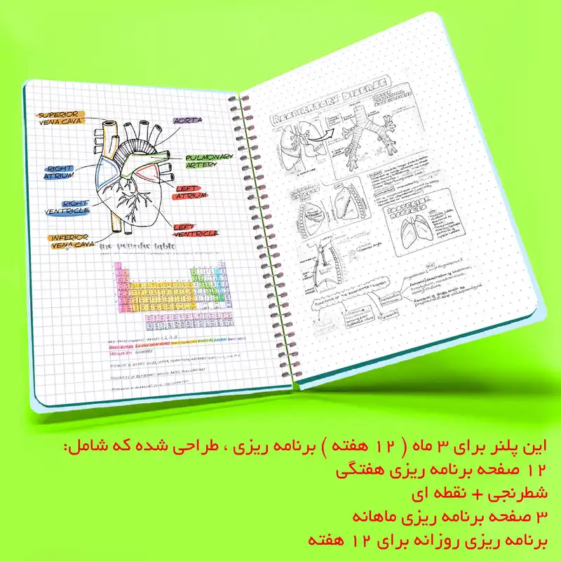 دفتر برنامه ریزی مستر راد طرح پری دریایی کد  1546