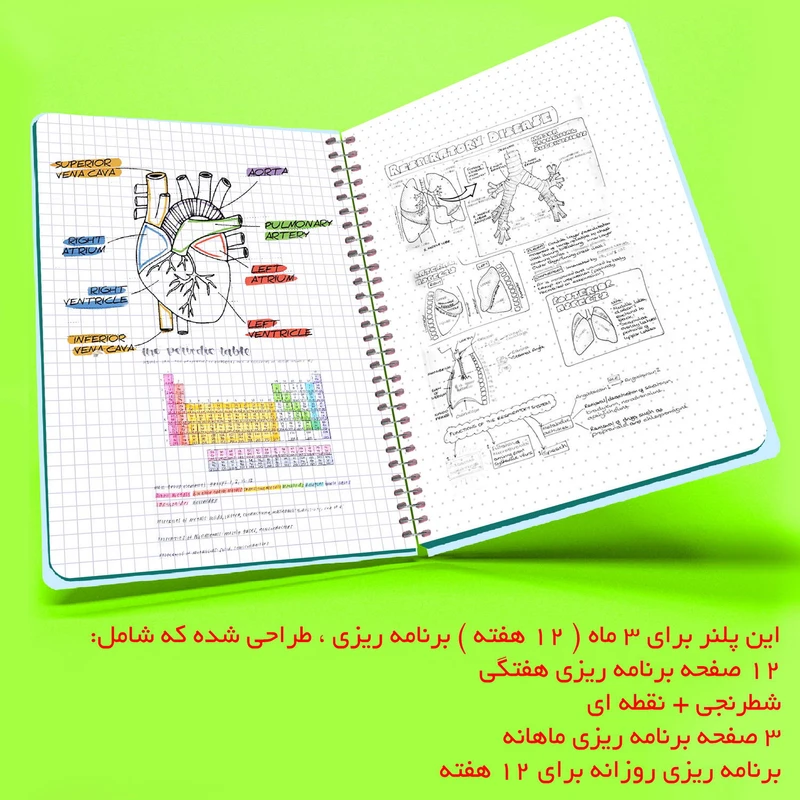 عکس شماره 4