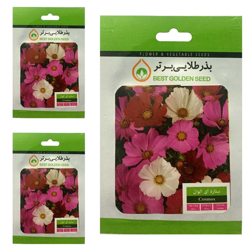 بذر گل ستاره ای الوان بذر طلایی برتر کد BTB-19 مجموعه 3 عددی
