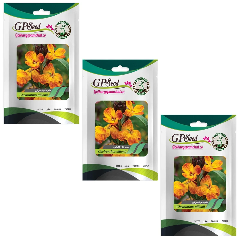 بذر گل شب بو زعفرانی گلدانی گلبرگ پامچال کد GPF-059 مجموعه 3 عددی