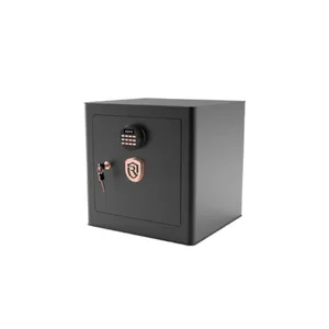 گاوصندوق روهینا مدل RO500