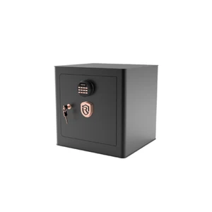 گاوصندوق روهینا مدل RO500