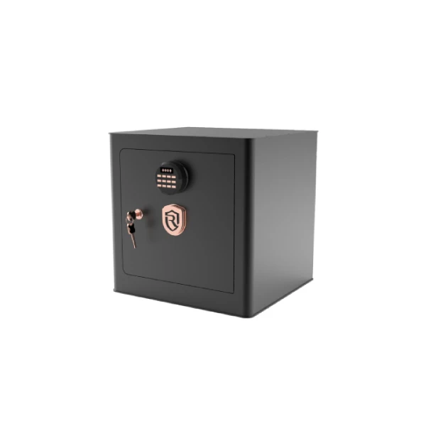 گاوصندوق روهینا مدل RO500