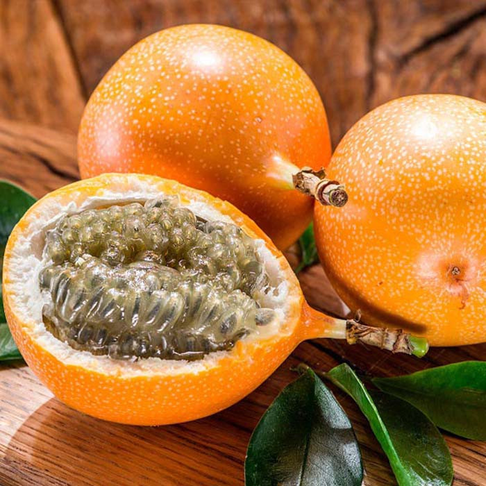 بذر پشن فروت گراندیلا نارنجی پشن عسل گرانادیلا گلس گلس گاردن مدل GL03