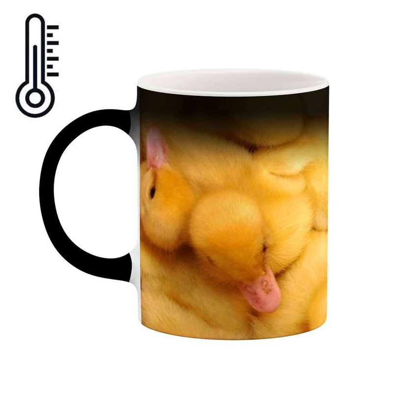 ماگ حرارتی کاکتی مدل اردک کد mgh11229