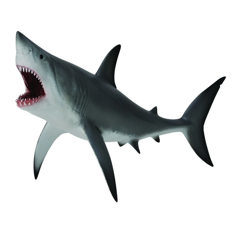 فیگور مدل کوسه‌