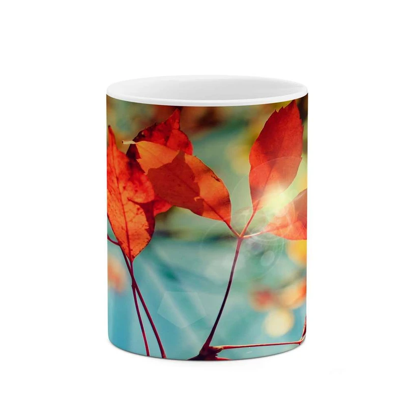 ماگ کاکتی مدل برگ کد mgh14551