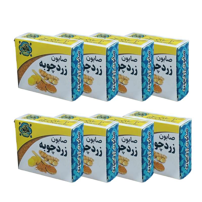 صابون شستشو گیاهستان حکیم مدل زردچوبه وزن 70 گرم بسته هشت عددی صابون شستشو گیاهستان حکیم مدل زردچوبه وزن 70 گرم بسته هشت عددی