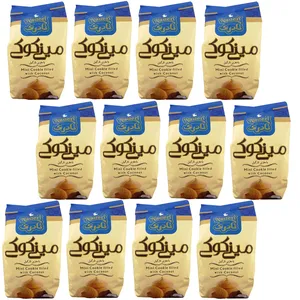 مینی کوکی با مغزی نارگیل نادری - 110 گرم بسته 12 عددی