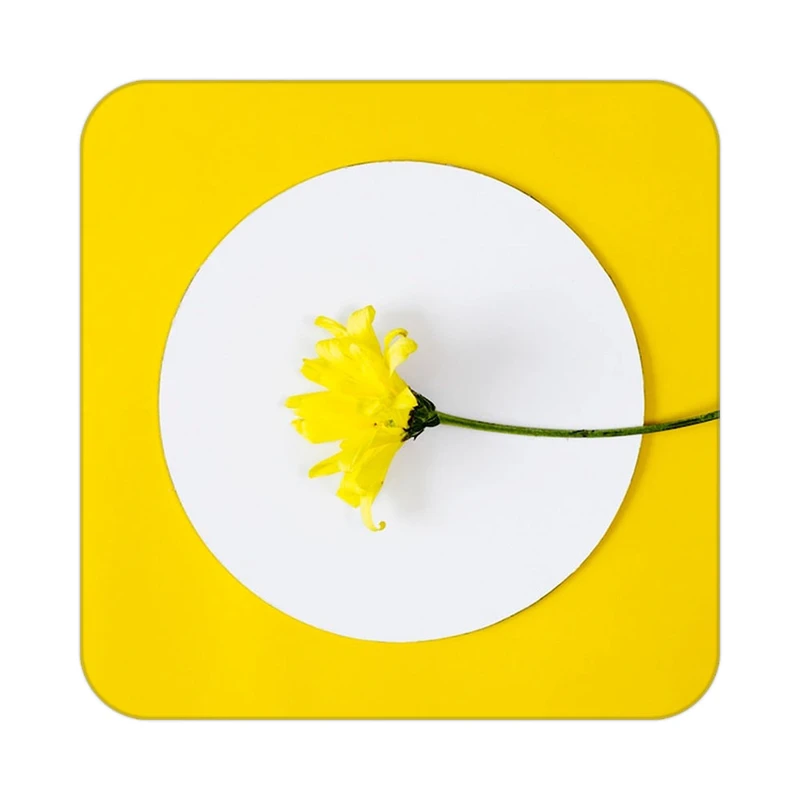 زیر لیوانی کاکتی طرح گل مدل mp19295