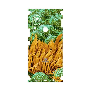 MAHOOT Atom Universe 6-FullSkin Cover Sticker for Infinix Hot 11s