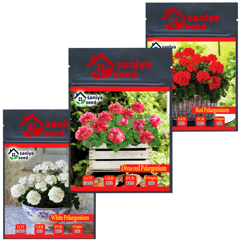 بذر گل شمعدانی سانیا سید مدل T9 مجموعه 3 عددی بذر گل شمعدانی سانیا سید مدل T9 مجموعه 3 عددی