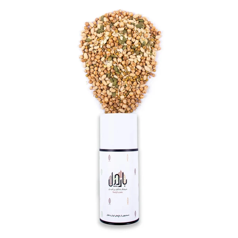 مخلوط آجیل رژیمی-250 گرم