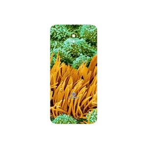 MAHOOT Atom Universe 6 Cover Sticker for Samsung Galaxy J7 Pro