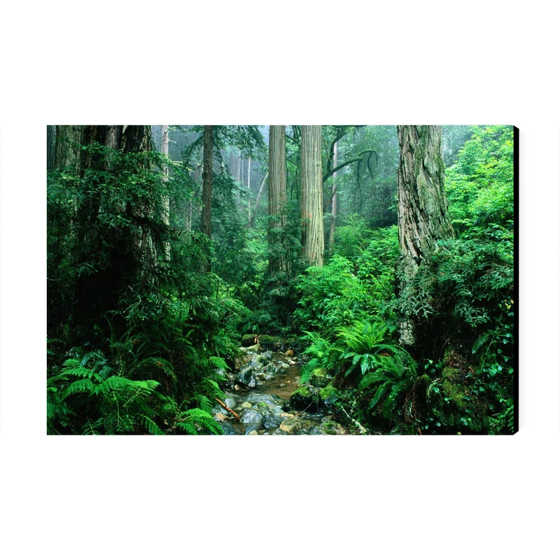 تابلو شاسی عرش مدل فانتزی طبیعت جنگل کد As4005