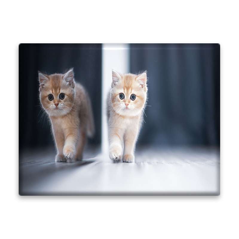 کاشی اطلس آبی طرح گربه مدل T5768