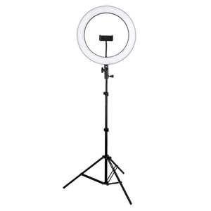 رینگ لایت مدل DX-260