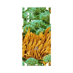 MAHOOT Atom Universe 6-FullSkin Cover Sticker for Samsung Galaxy A31