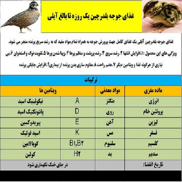 غذای جوجه بلدرچین مدل آیلی کد 07 وزن 1000 گرم