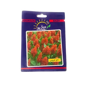 بذر گل تاج خروس هورسان کد b815