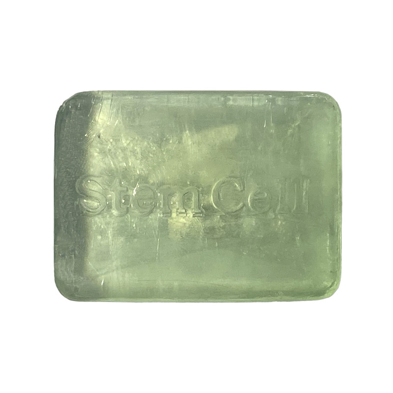 پن شستشو استم سل مدل Acne وزن 100 گرم
