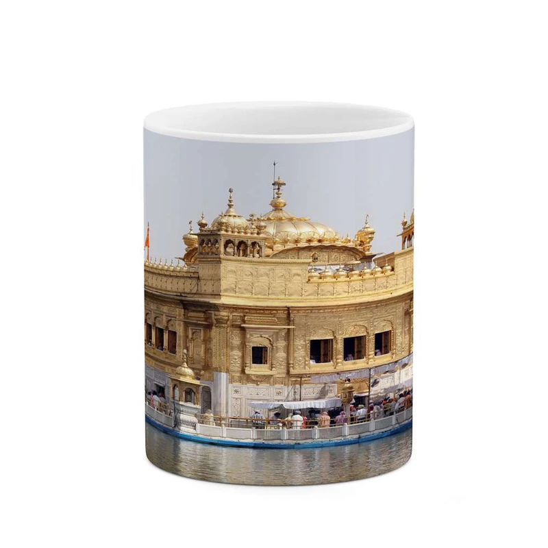 ماگ کاکتی مدل شهر کد mgh13391