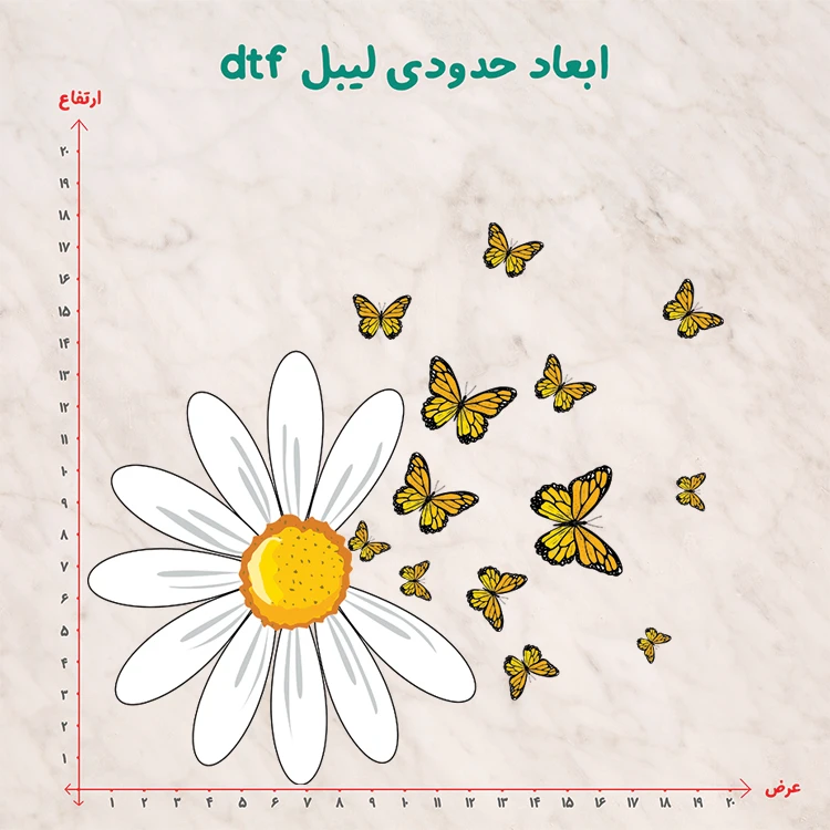 عکس شماره 4