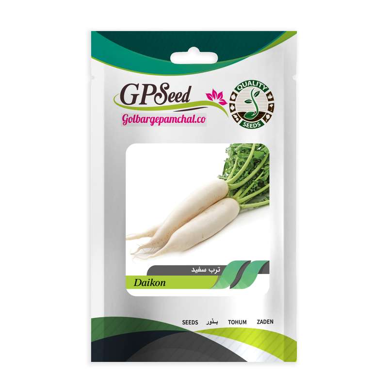 بذر ترب سفید گلبرگ پامچال کد GPF-108