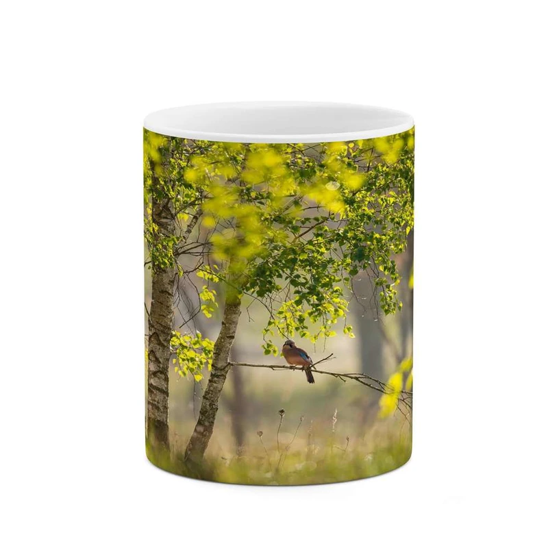 ماگ کاکتی مدل منظره کد mgh16908