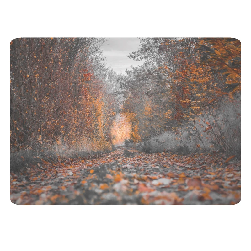 ماوس پد مدل منظره کد 411 BBB