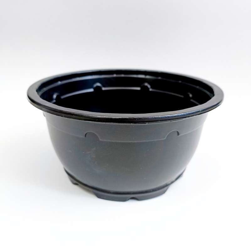 گلدان مدل ژله ای کاسه مجموعه 10عددی گلدان مدل ژله ای کاسه مجموعه 10عددی