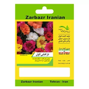 بذر گل ناز آفتابی الوان زربذر ایرانیان کد ZBP-111