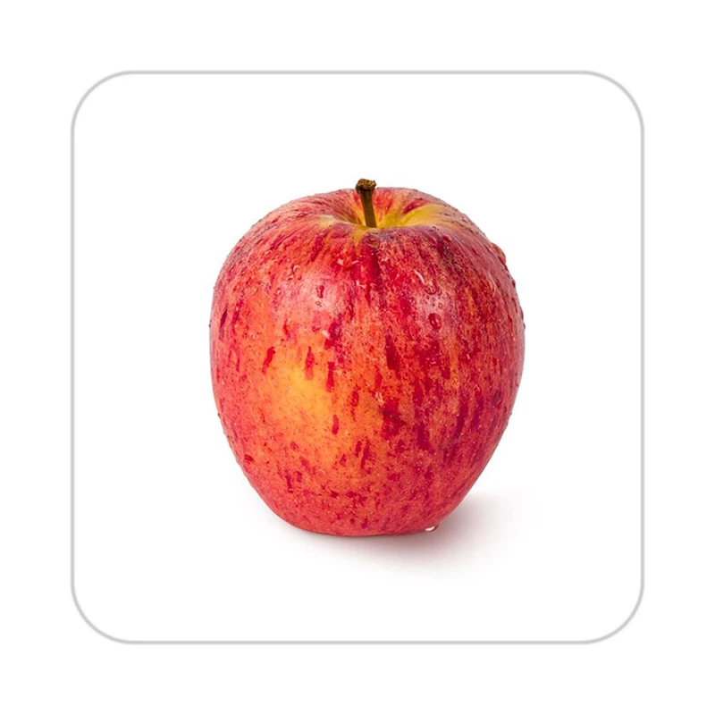 زیر لیوانی کاکتی طرح میوه مدل mp22692