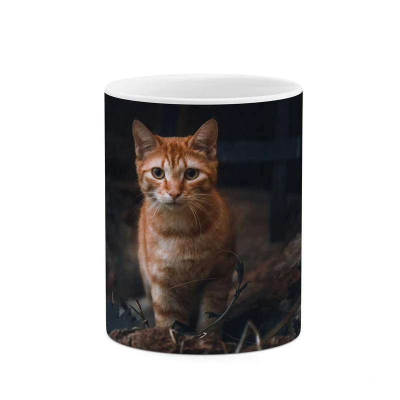 ماگ کاکتی طرح گربه کد mgp10990