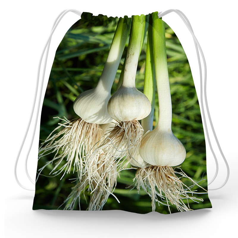 کیسه نان و سبزی مدل پیازچه کد 14001001 کیسه نان و سبزی مدل پیازچه کد 14001001