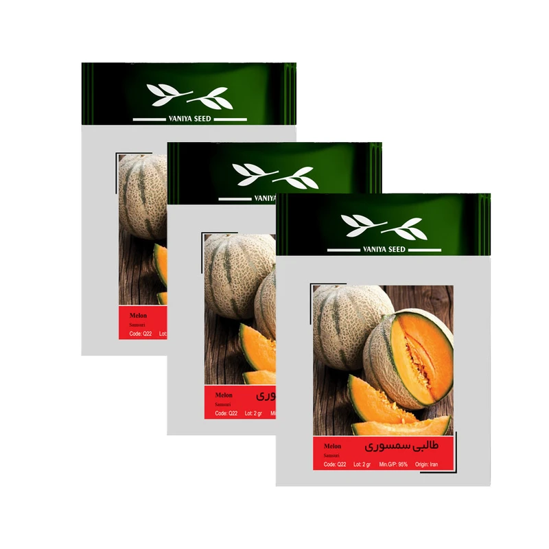 بذر طالبی سمسوری وانیا سید مدل Melon Samsuri بسته 3 عددی بذر طالبی سمسوری وانیا سید مدل Melon Samsuri بسته 3 عددی