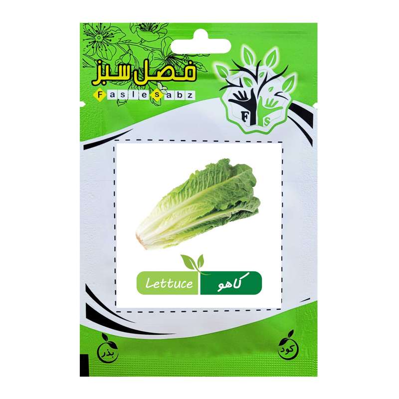 بذر کاهو فصل سبز کد SEED-016
