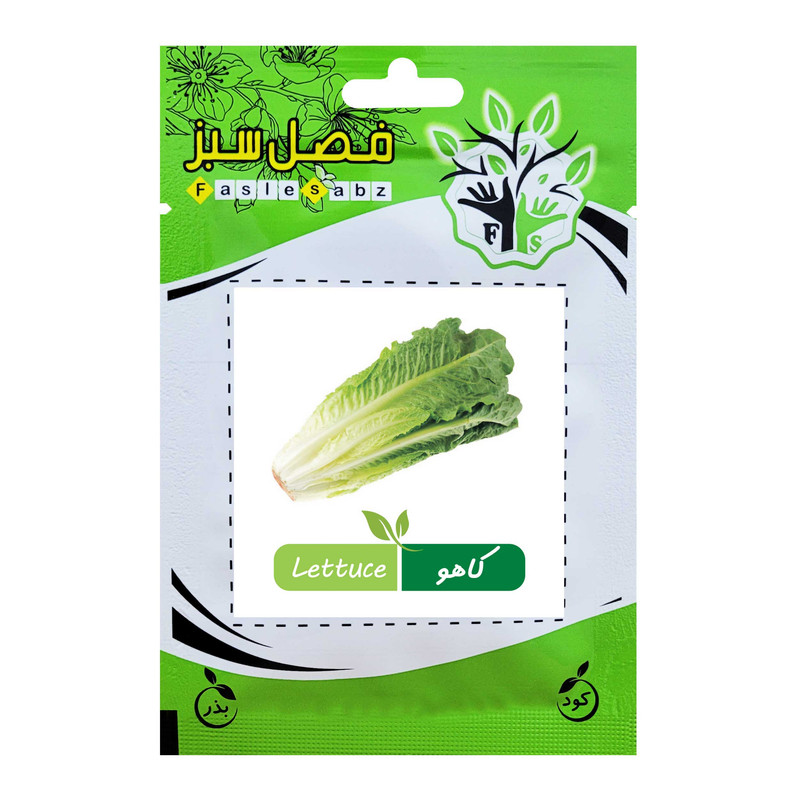 بذر کاهو فصل سبز کد SEED-016